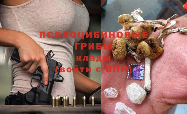 стафф Баксан