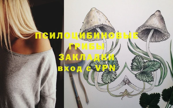 стафф Баксан