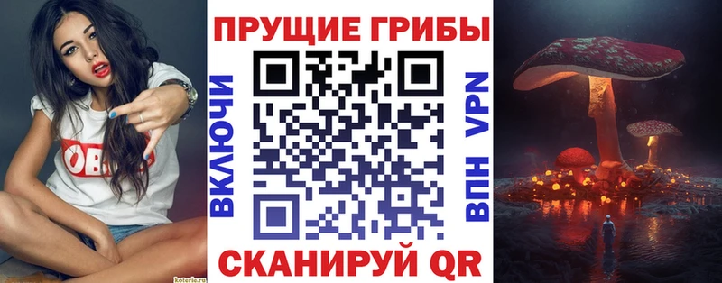 Галлюциногенные грибы MAGIC MUSHROOMS  MEGA маркетплейс  Ульяновск 
